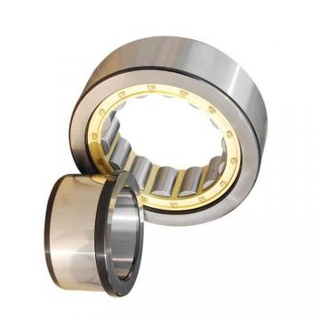 Skate Skateboard Bicycle Ceramic Stainless Steel High-Temperature Deep Groove Ball Bearing of Ss608 Ss609 Ss6204 Ss625 Ss695