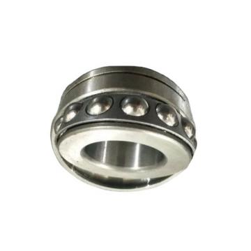 Stainless Pillow Blocks Bearing with Concave Bottom Housing for Chemical, Package and Food Machines Ssucfl205 NSK NTN NACHI Koyo Timken SKF UCP Ucf UC UCFL