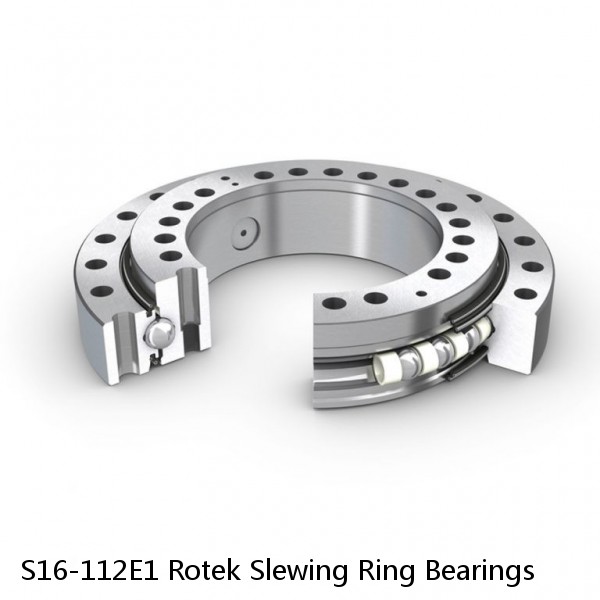 S16-112E1 Rotek Slewing Ring Bearings