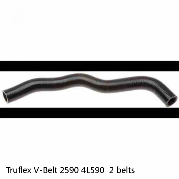  Truflex V-Belt 2590 4L590  2 belts