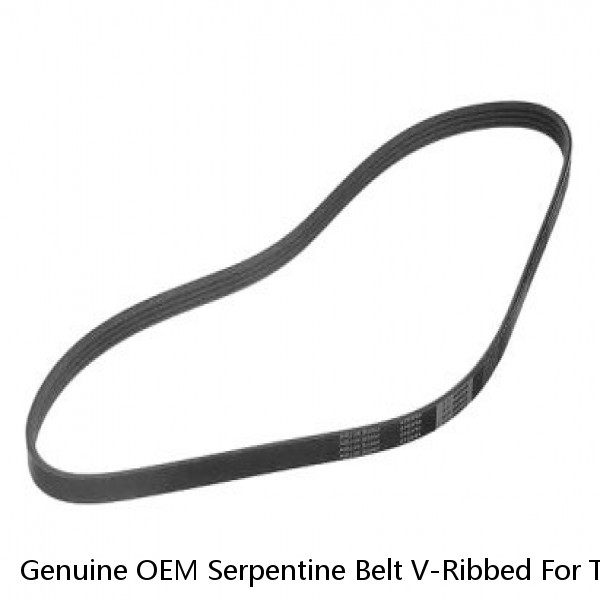 Genuine OEM Serpentine Belt V-Ribbed For Toyota Land Cruiser Sequoia Tundra (Fits: Toyota)