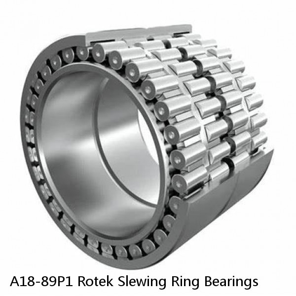 A18-89P1 Rotek Slewing Ring Bearings