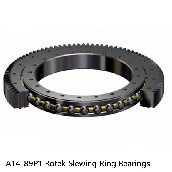 A14-89P1 Rotek Slewing Ring Bearings