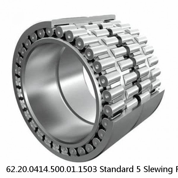 62.20.0414.500.01.1503 Standard 5 Slewing Ring Bearings #1 small image