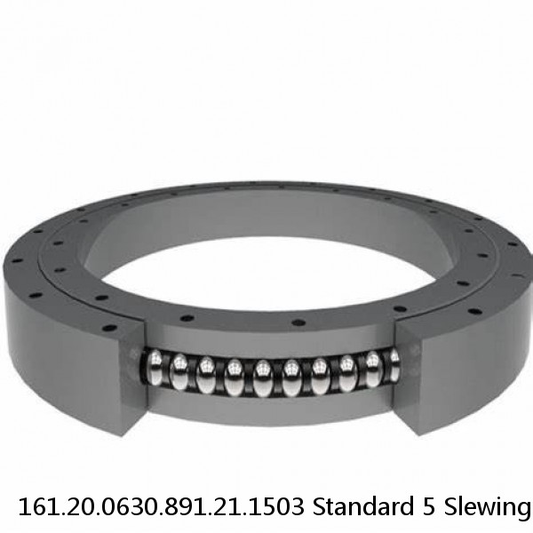 161.20.0630.891.21.1503 Standard 5 Slewing Ring Bearings #1 small image