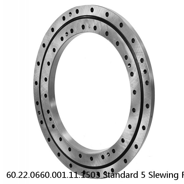 60.22.0660.001.11.1503 Standard 5 Slewing Ring Bearings #1 small image