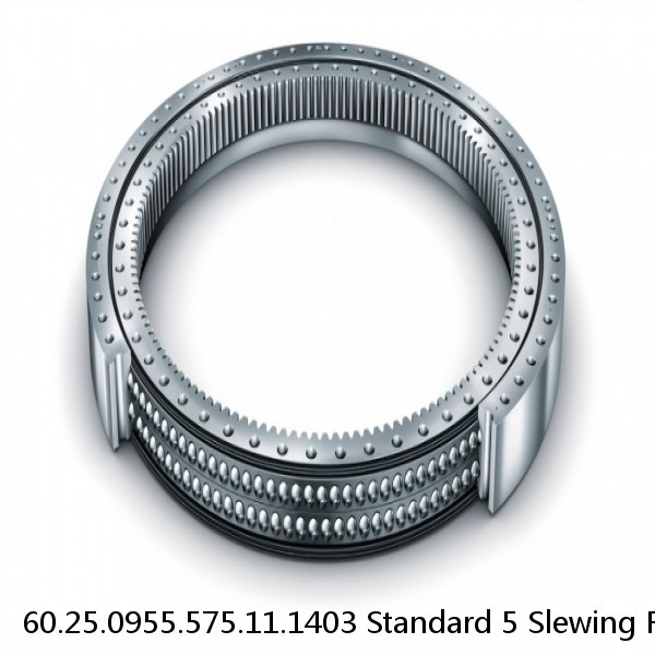 60.25.0955.575.11.1403 Standard 5 Slewing Ring Bearings #1 small image