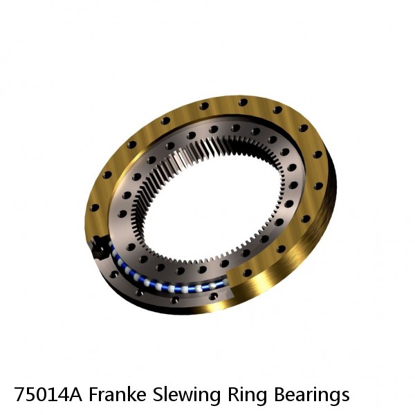 75014A Franke Slewing Ring Bearings #1 small image