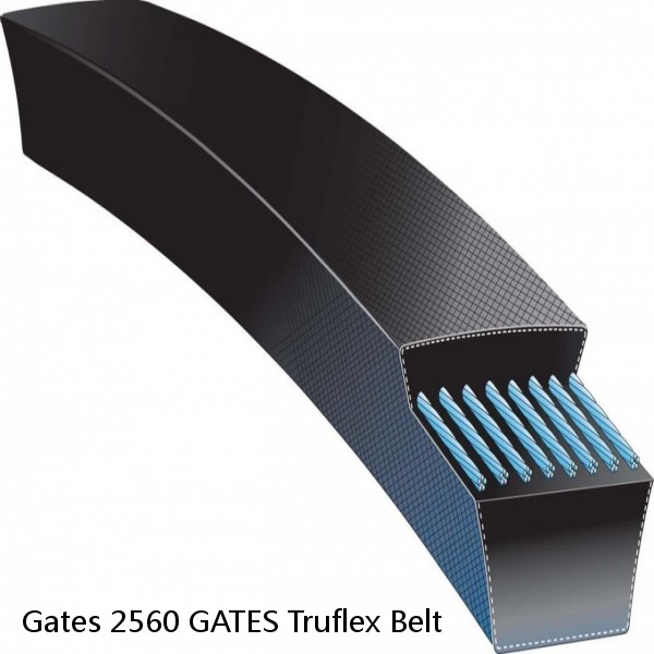 Gates 2560 GATES Truflex Belt