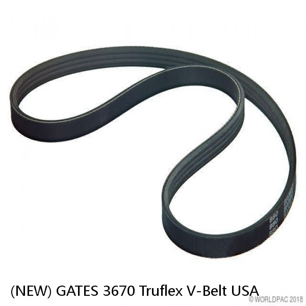 (NEW) GATES 3670 Truflex V-Belt USA