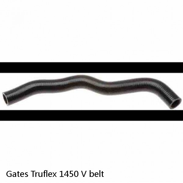 Gates Truflex 1450 V belt  #1 small image