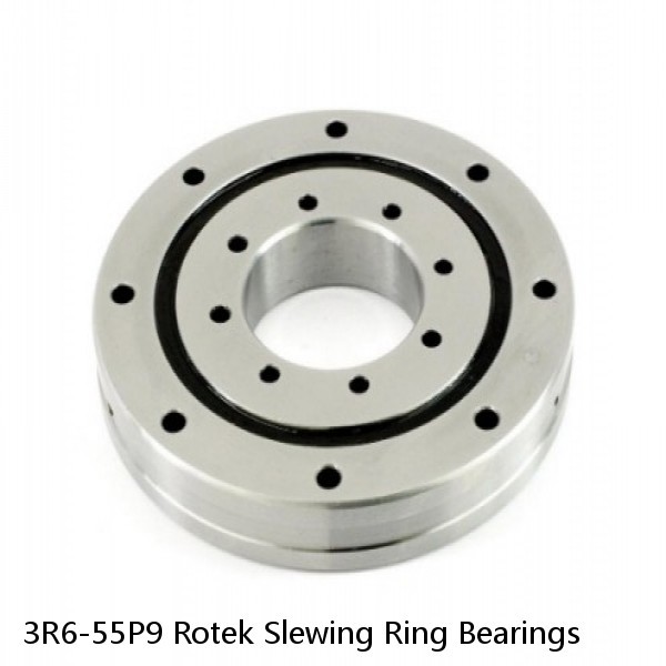 3R6-55P9 Rotek Slewing Ring Bearings #1 image