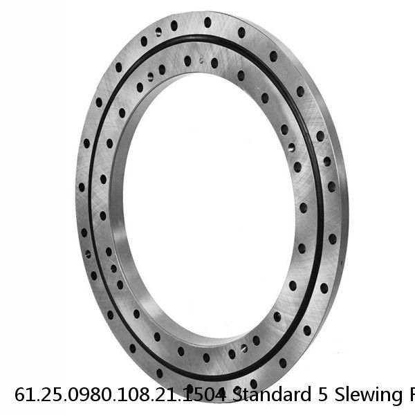 61.25.0980.108.21.1504 Standard 5 Slewing Ring Bearings #1 image