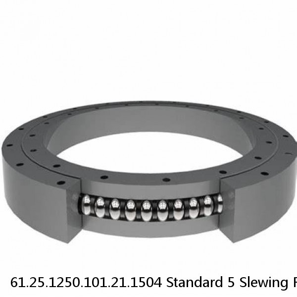 61.25.1250.101.21.1504 Standard 5 Slewing Ring Bearings #1 image