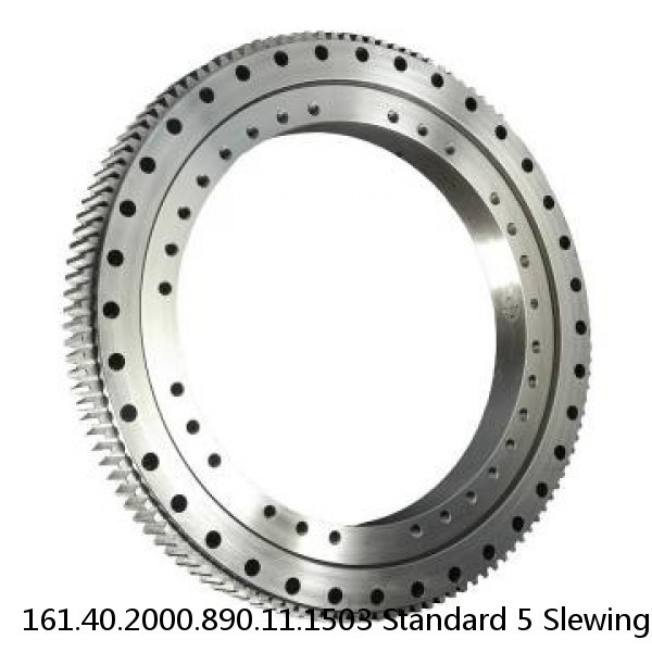 161.40.2000.890.11.1503 Standard 5 Slewing Ring Bearings #1 image