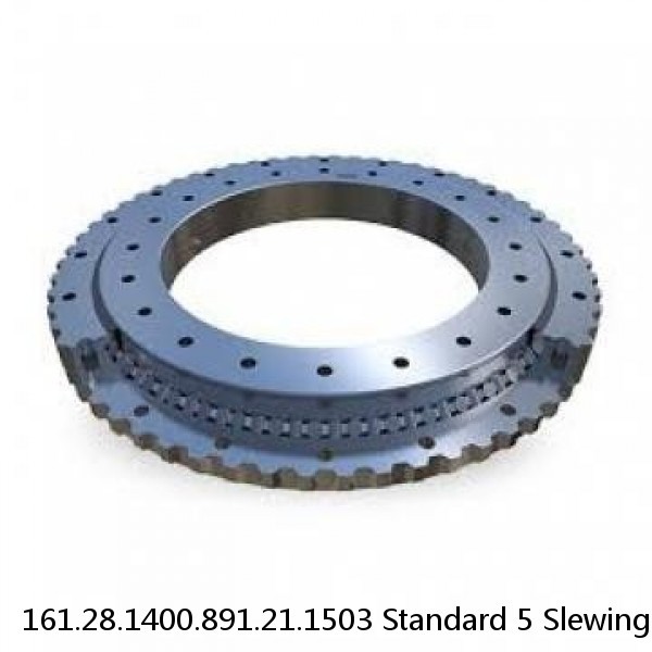 161.28.1400.891.21.1503 Standard 5 Slewing Ring Bearings #1 image