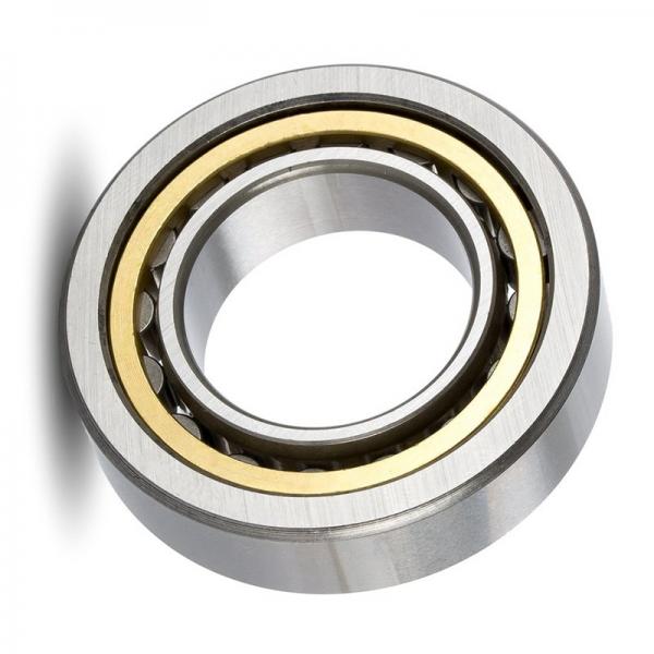Motors use in high temperature NSK brand 6205V deep groove ball bearings #1 image