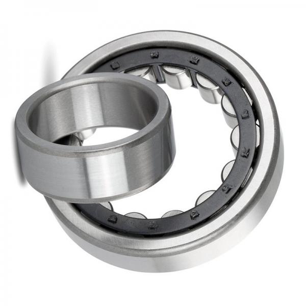 Rust-Proof AISI420/440/304/316 stainless steel radial ball bearings SS6805 SS6905 SS6005 SS 6205 SS6305 #1 image