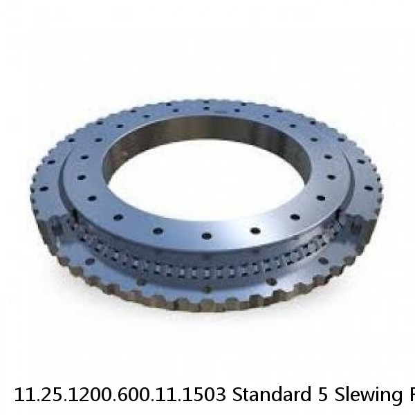 11.25.1200.600.11.1503 Standard 5 Slewing Ring Bearings #1 image