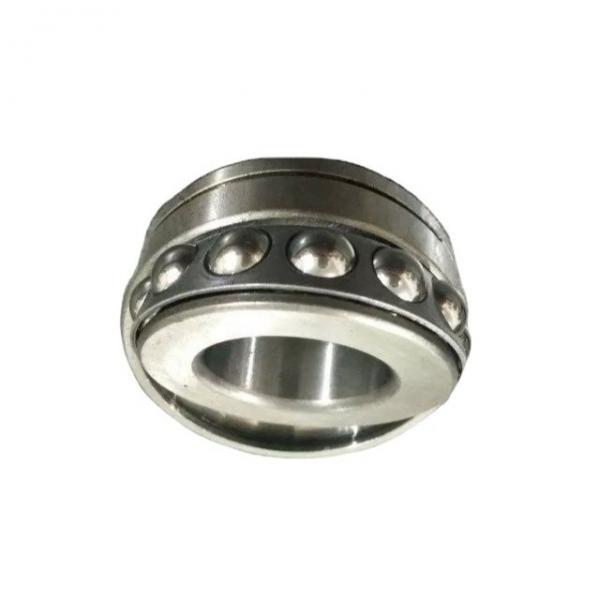 Stainless Pillow Blocks Bearing with Concave Bottom Housing for Chemical, Package and Food Machines Ssucfl205 NSK NTN NACHI Koyo Timken SKF UCP Ucf UC UCFL #1 image