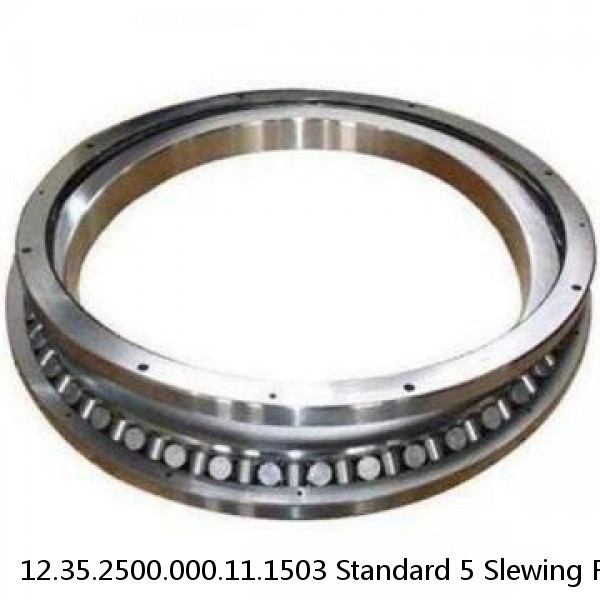 12.35.2500.000.11.1503 Standard 5 Slewing Ring Bearings #1 image