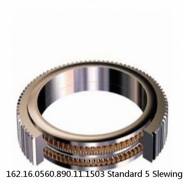 162.16.0560.890.11.1503 Standard 5 Slewing Ring Bearings #1 image