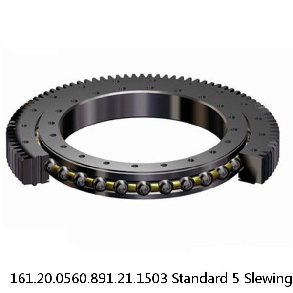 161.20.0560.891.21.1503 Standard 5 Slewing Ring Bearings #1 image