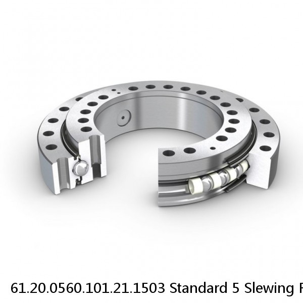 61.20.0560.101.21.1503 Standard 5 Slewing Ring Bearings #1 image