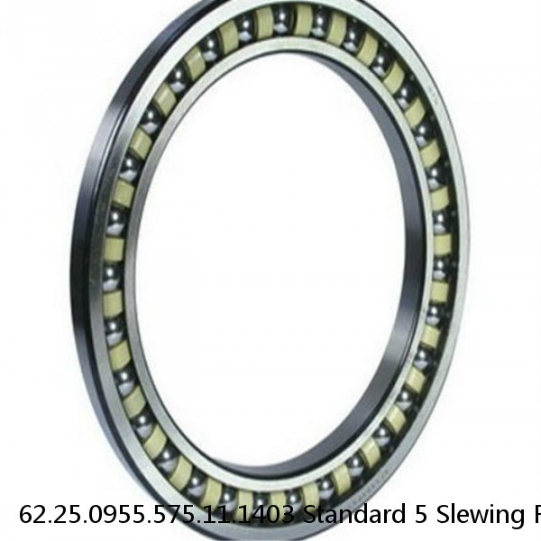 62.25.0955.575.11.1403 Standard 5 Slewing Ring Bearings #1 image