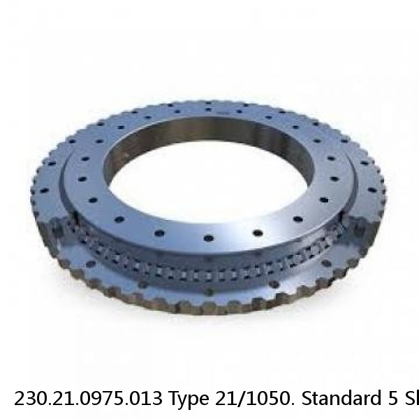 230.21.0975.013 Type 21/1050. Standard 5 Slewing Ring Bearings #1 image