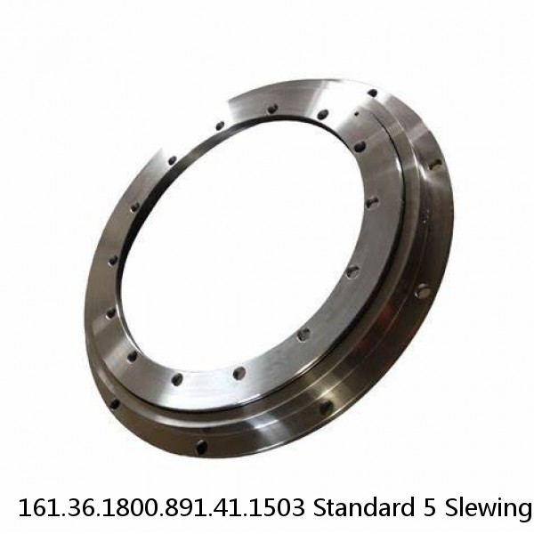 161.36.1800.891.41.1503 Standard 5 Slewing Ring Bearings #1 image