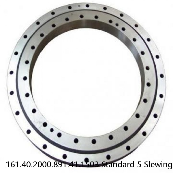 161.40.2000.891.41.1503 Standard 5 Slewing Ring Bearings #1 image