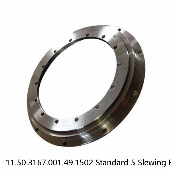 11.50.3167.001.49.1502 Standard 5 Slewing Ring Bearings #1 image