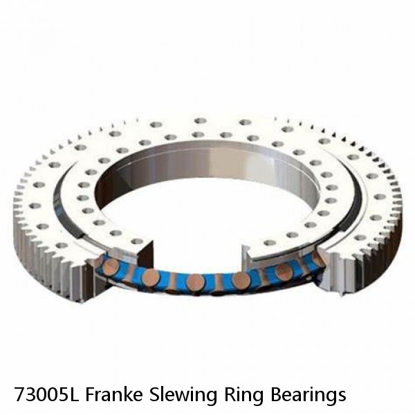 73005L Franke Slewing Ring Bearings #1 image