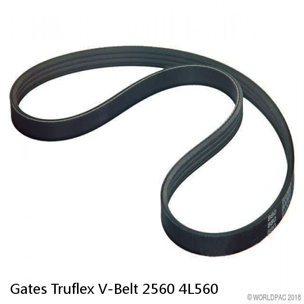Gates Truflex V-Belt 2560 4L560 #1 image