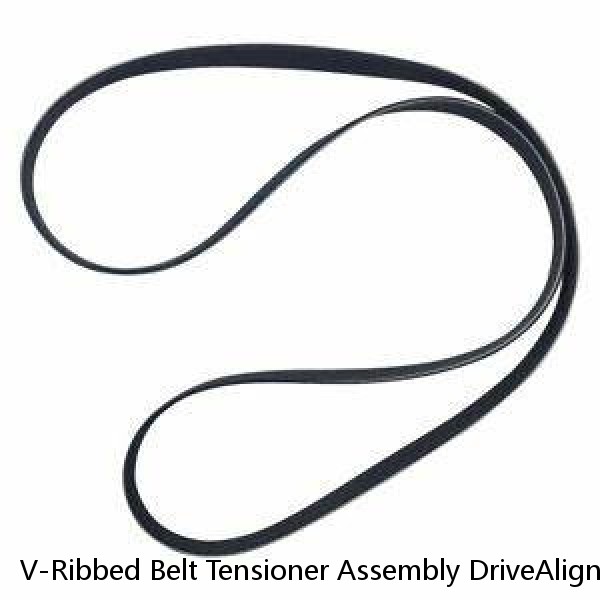 V-Ribbed Belt Tensioner Assembly DriveAlign For Lexus IS250 350 Toyota RAV4 V6 (Fits: Toyota) #1 image